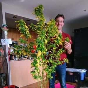 Meet your Posher, Roy